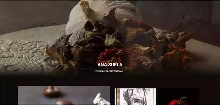 Ana suela fotografia diseño web seo españa