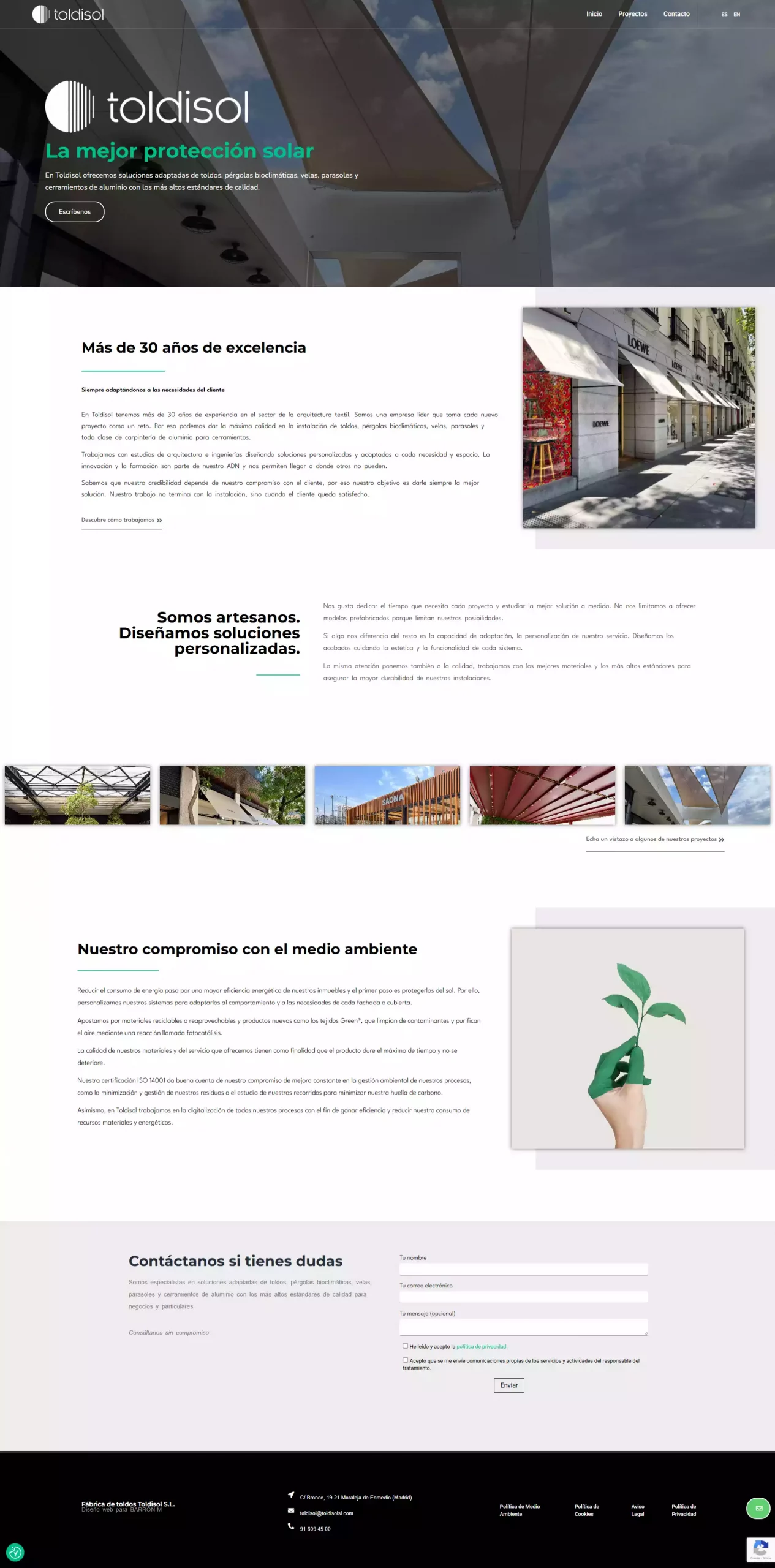 Toldisol sl web y seo